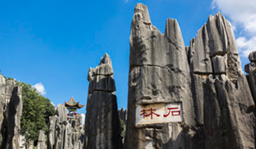 丝瓜视频导航家具-昆明分公司